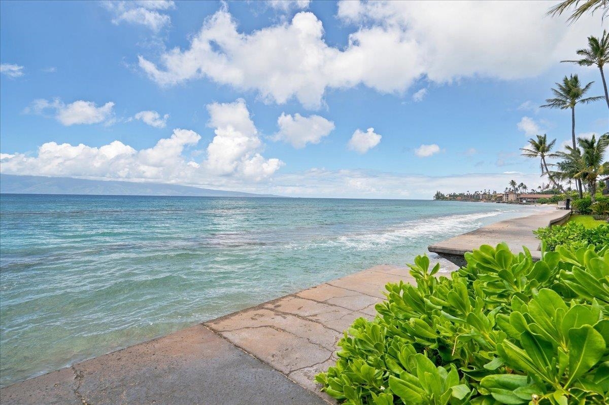 3559 Lower Honoapiilani Road, Unit 1D Lahaina, HI 96761 - Photo 32 of 36 Gallery Image 32
