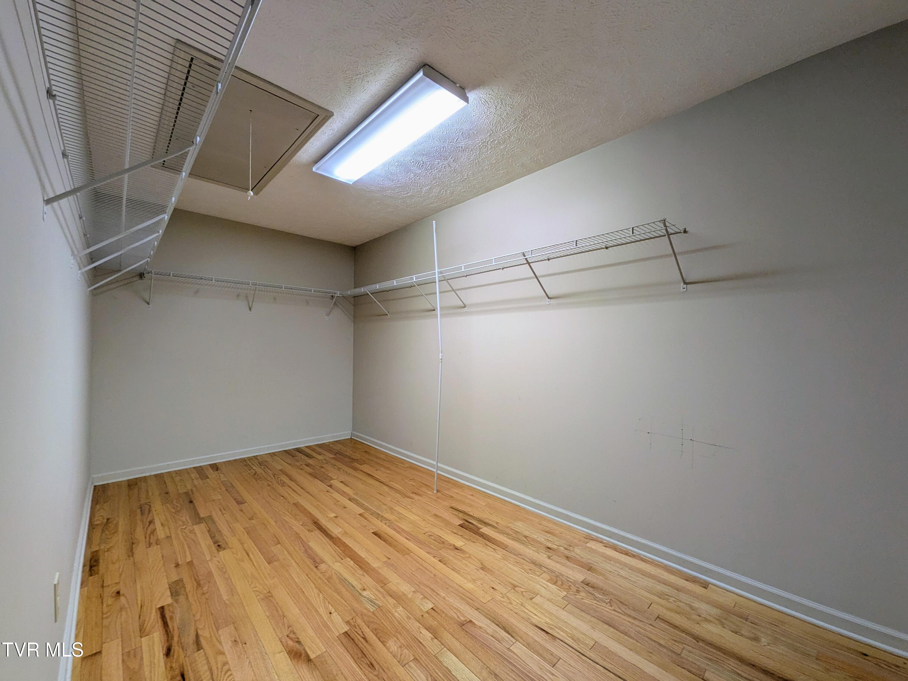 113 Nave Hollow Road Elizabethton, TN 37643 - Photo 17 of 91 Primary Closet(1)