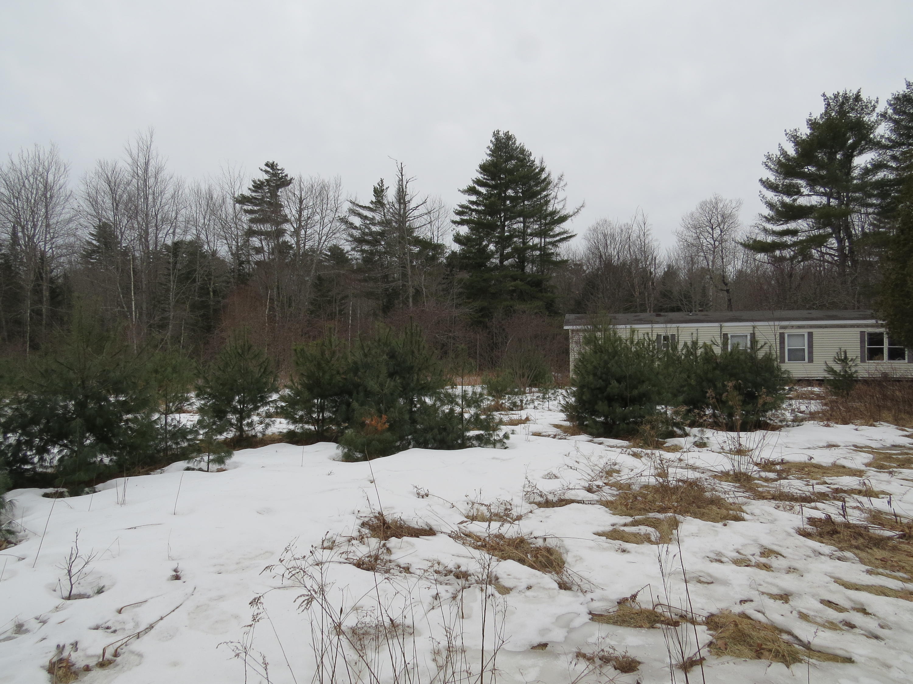 41 Muzzy Ridge Road Searsmont, ME 04973 - Photo 1 of 5 open area
