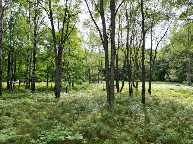 $12,500 | 6188 Fox Run Circle, Stanwood, MI 49346