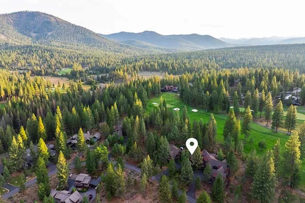a view of a lush green field with lots of bushes