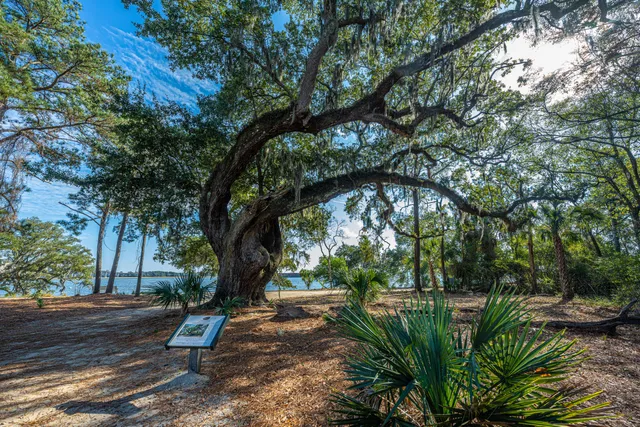 $325,000 | 130 River Landing Drive, Unit 3113, Charleston, SC 29492