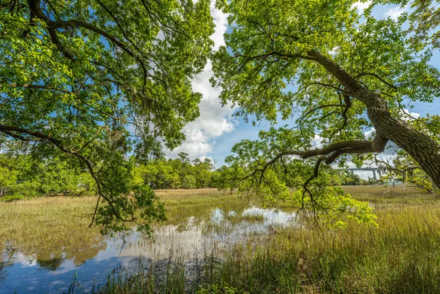 $325,000 | 130 River Landing Drive, Unit 3113, Charleston, SC 29492