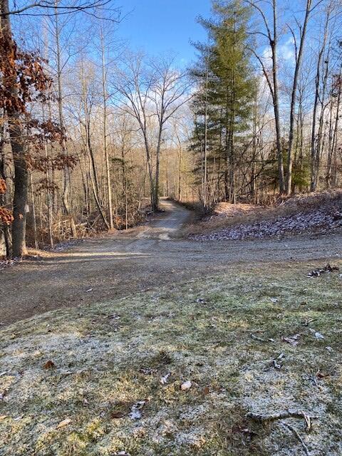 142 Cole Road Deer Lodge, TN 37726 - Photo 52 of 77 20220322195750334331000000-o