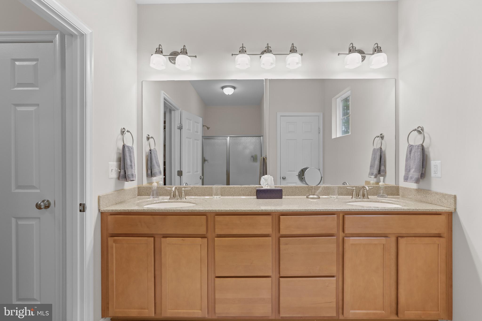 8264 Buckthorne Run King George, VA 22485 - Photo 27 of 50 a bathroom with a sink and a mirror