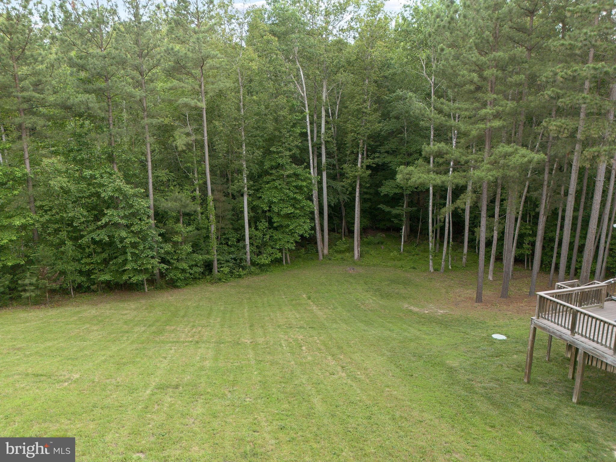 8264 Buckthorne Run King George, VA 22485 - Photo 43 of 50 a backyard of a house with lots of green space and plants