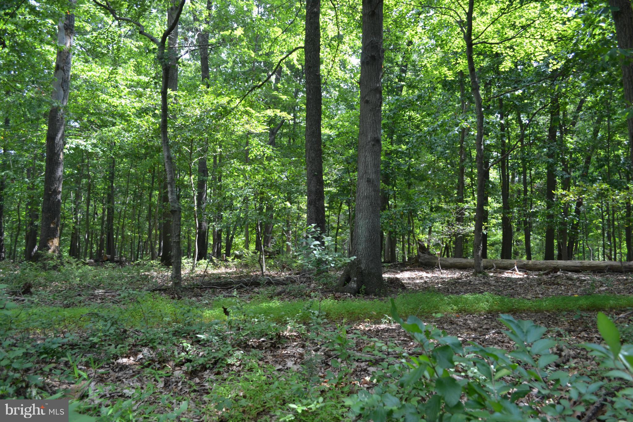 15829 Falls Road Sparks, MD 21152 - Photo 1 of 2 Lovely, flat 16 acre lot