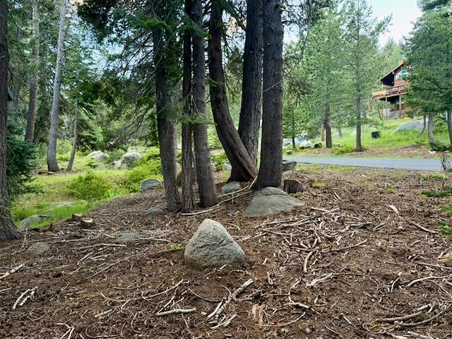0 Quaking Aspen Road Arnold, CA 95223 - Photo 4 of 6