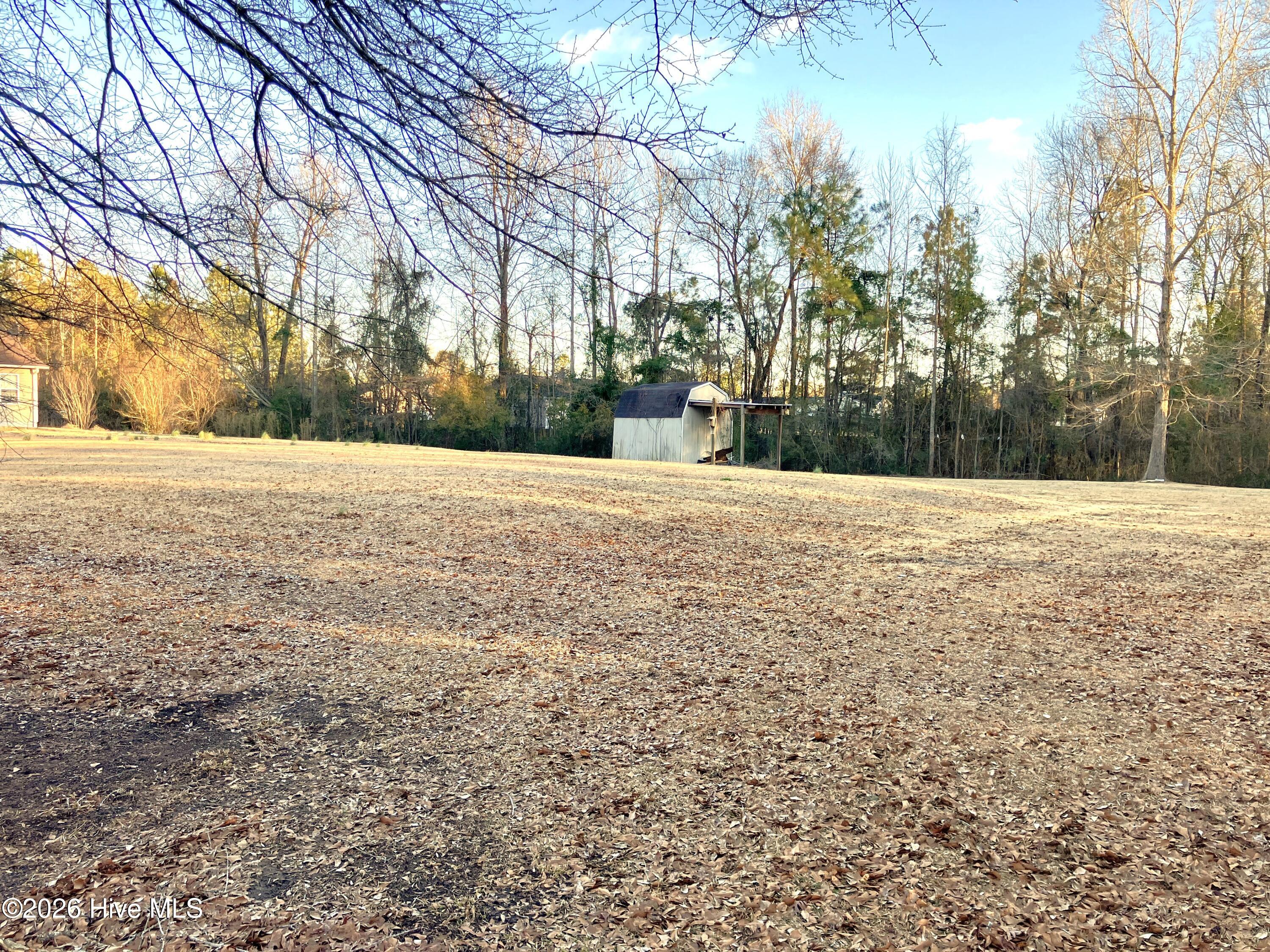 102 Poplar Ridge Road Jacksonville, NC 28546 - Photo 30 of 33 Backyard