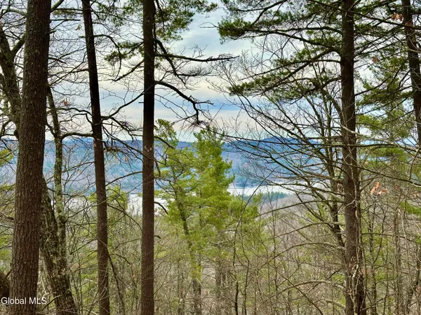 $300,000 | 1 South Ike Hayes Road, Brant Lake, NY 12815