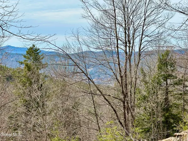 $300,000 | 1 South Ike Hayes Road, Brant Lake, NY 12815
