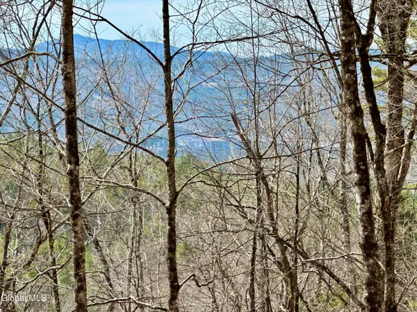 $300,000 | 1 South Ike Hayes Road, Brant Lake, NY 12815