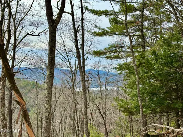 $300,000 | 1 South Ike Hayes Road, Brant Lake, NY 12815