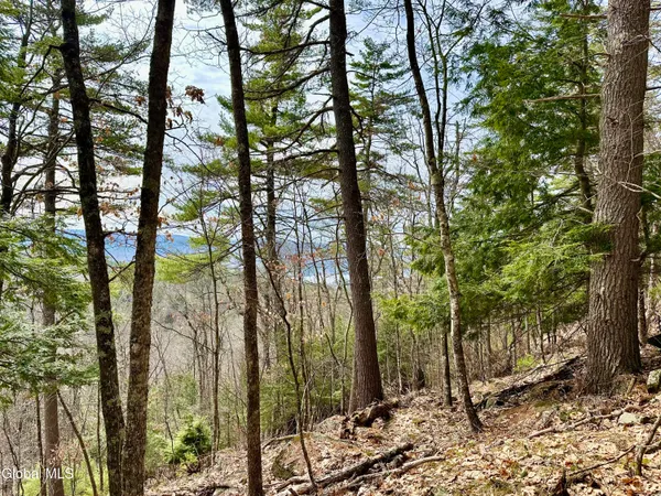 $300,000 | 1 South Ike Hayes Road, Brant Lake, NY 12815