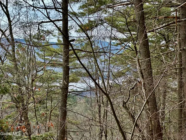 $300,000 | 1 South Ike Hayes Road, Brant Lake, NY 12815
