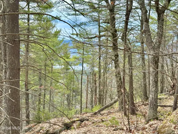 $300,000 | 1 South Ike Hayes Road, Brant Lake, NY 12815