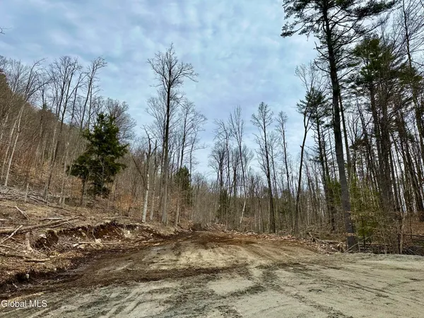 $300,000 | 1 South Ike Hayes Road, Brant Lake, NY 12815