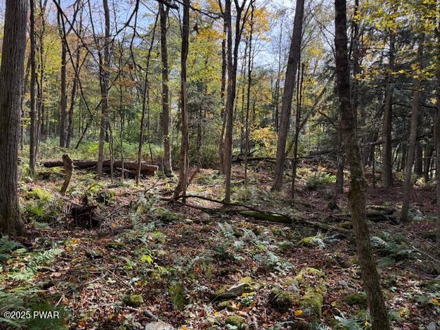 Fairmont Road Road Starrucca, PA 18462 - Photo 5 of 18