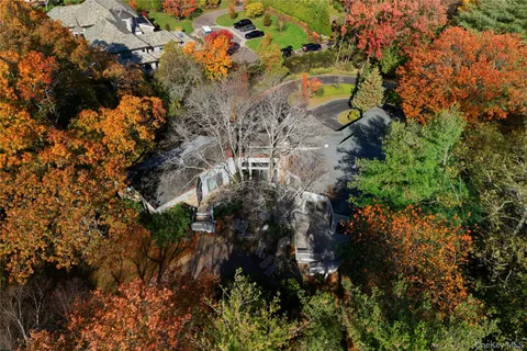 a view of flowers in a garden