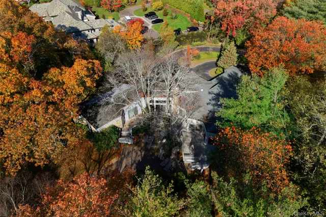 a view of flowers in a garden