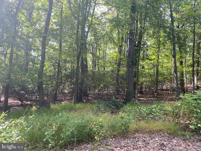 Wooded, private lot.