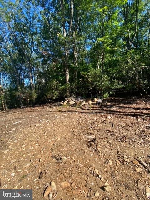 7810 Jackson Mountain Road Frederick, MD 21702 - Photo 2 of 5 Fantastic piece of land.