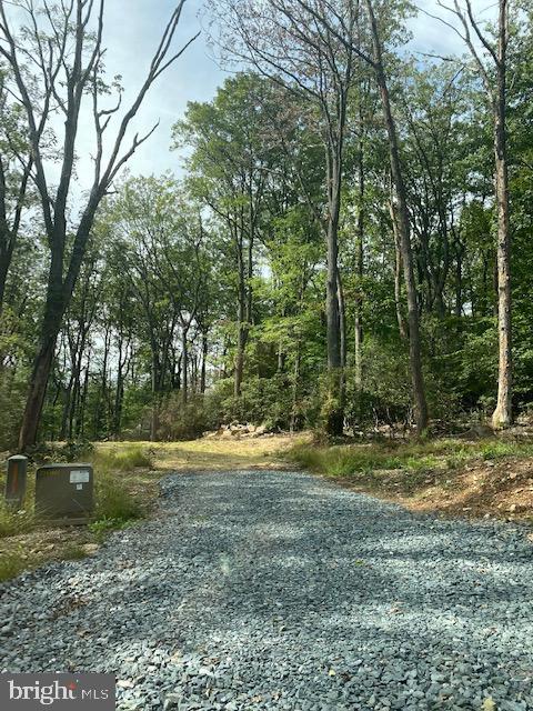 7810 Jackson Mountain Road Frederick, MD 21702 - Photo 5 of 5 Large plot.