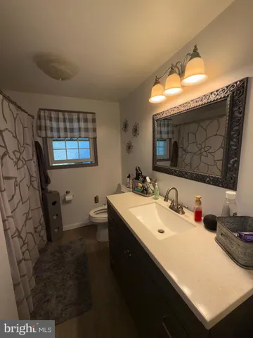 a bathroom with a sink a toilet and mirror
