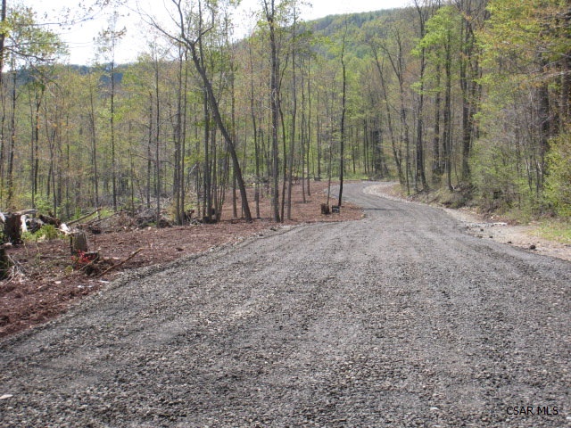 Mountain Springs Road, Unit 7 7 Alum Bank, PA 15521 - Photo 24 of 24 Gallery Image 24