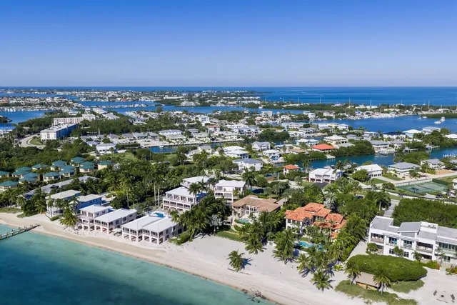 a view of a bunch of flowers in front of house