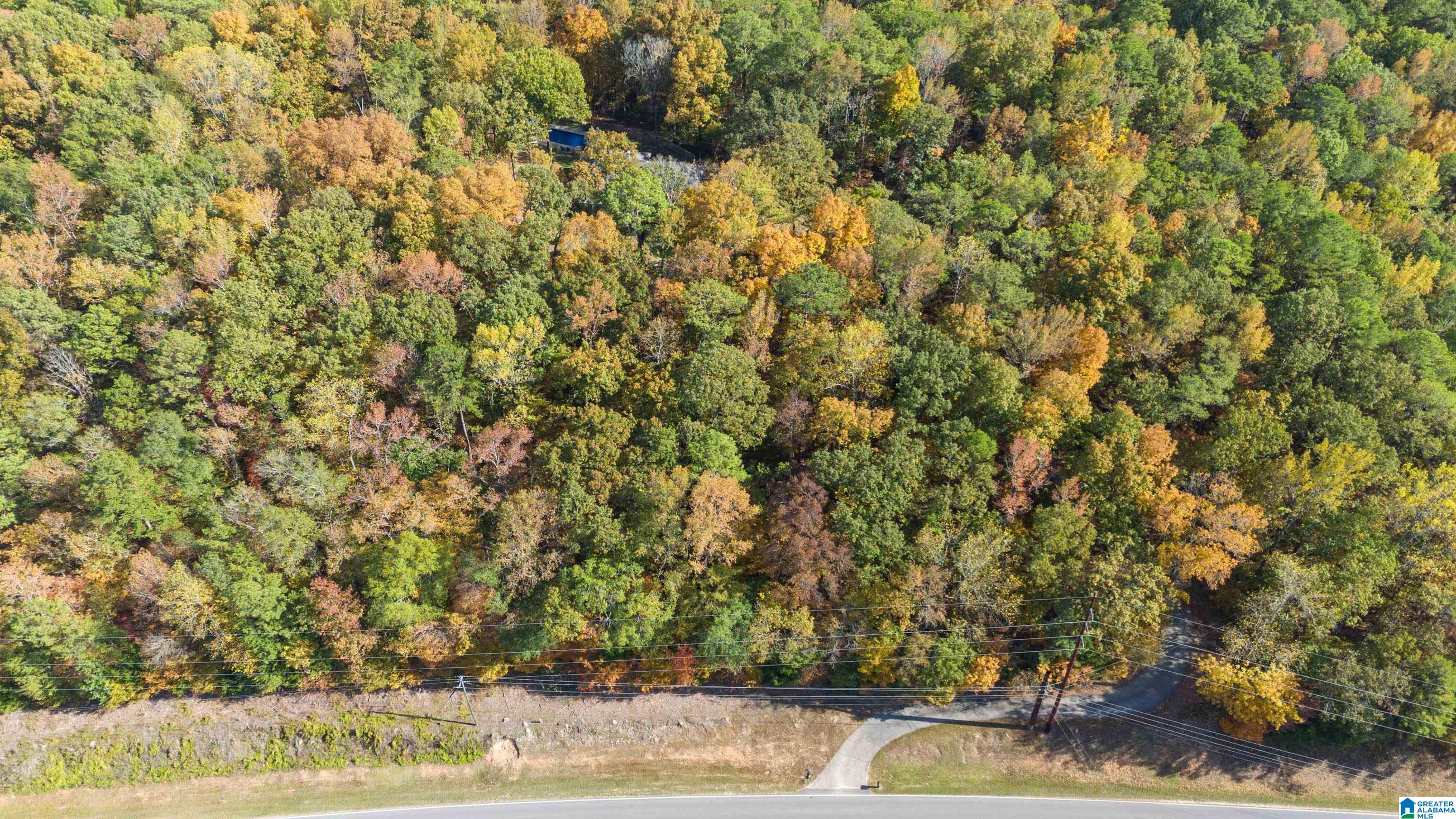 2674 Spring Creek Road Montevallo, AL 35115 - Photo 67 of 74 Gallery Image 67