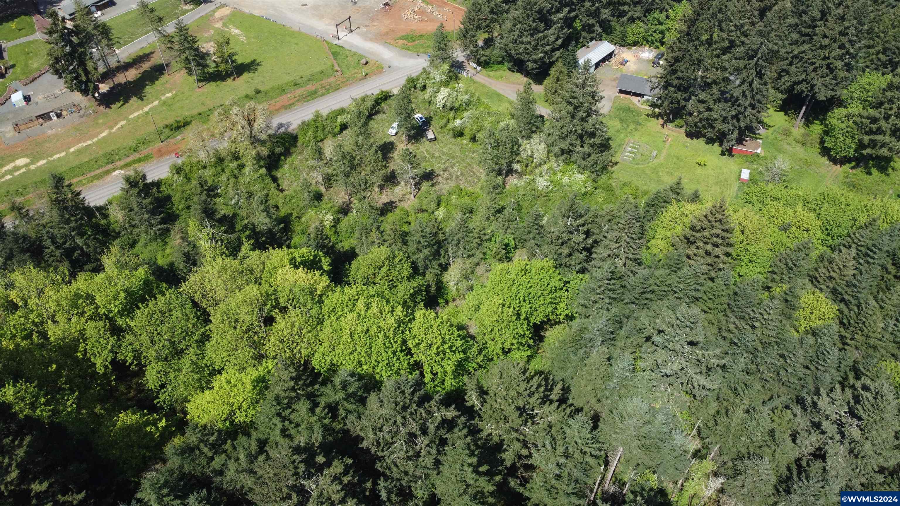 43458 Rogers Mountain Road Scio, OR 97374 - Photo 17 of 19