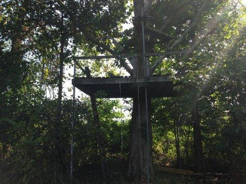 2640 Fords Mill Road Dry Ridge, KY 41035 - Photo 29 of 30