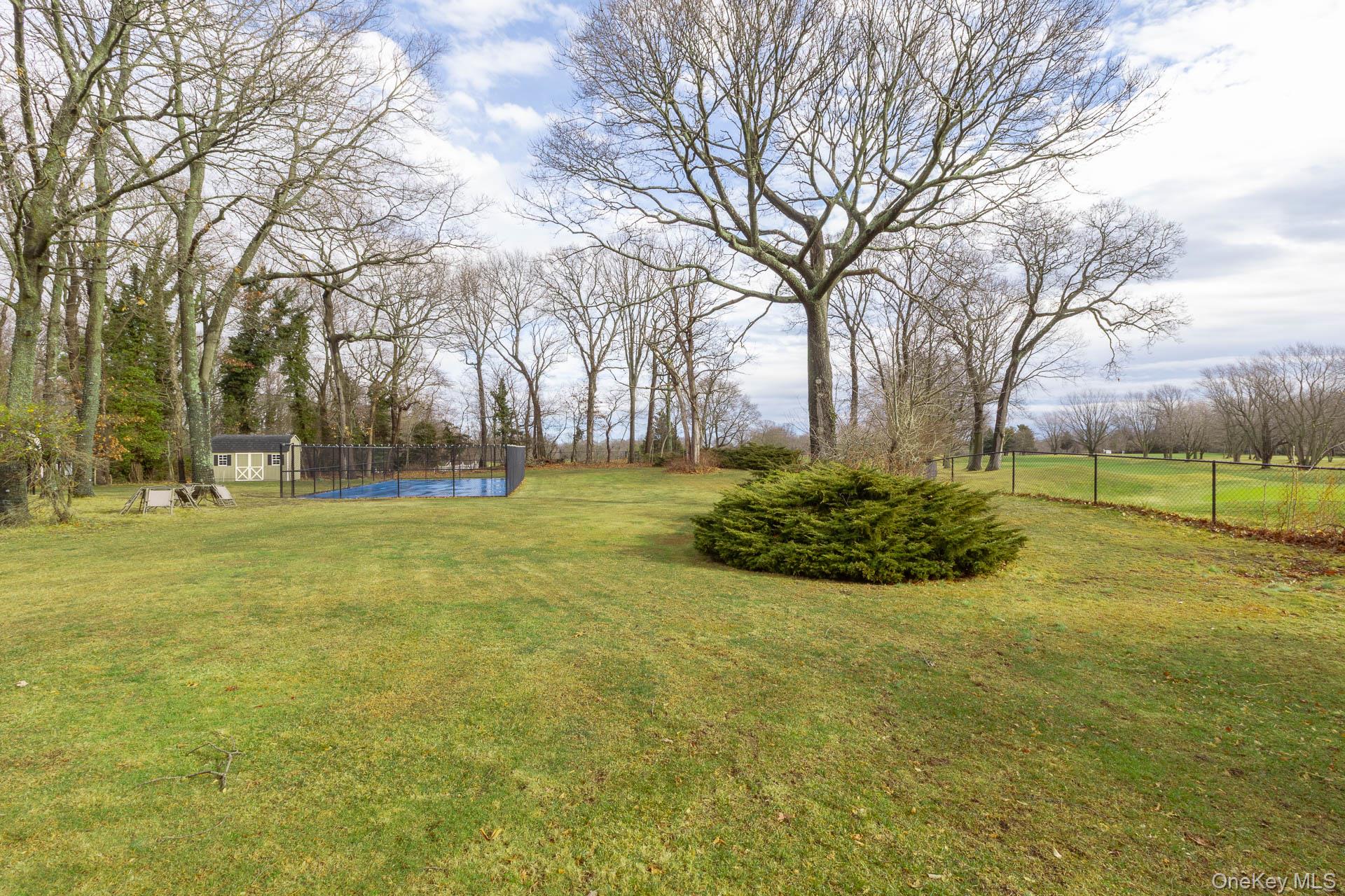 83 Cliff Road Port Jefferson, NY 11777 - Photo 17 of 50 a view of a park with large trees