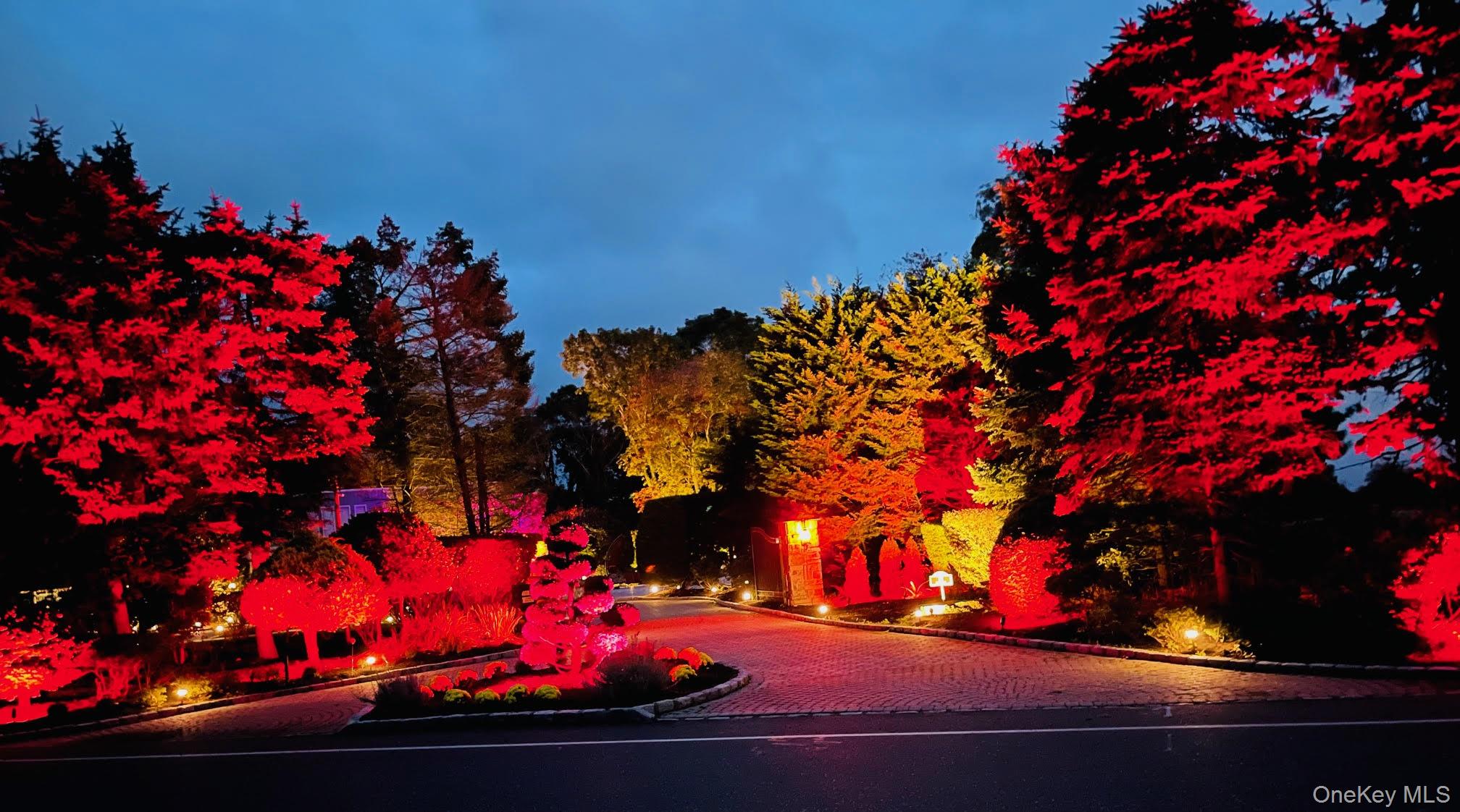 83 Cliff Road Port Jefferson, NY 11777 - Photo 50 of 50 a view of a yard