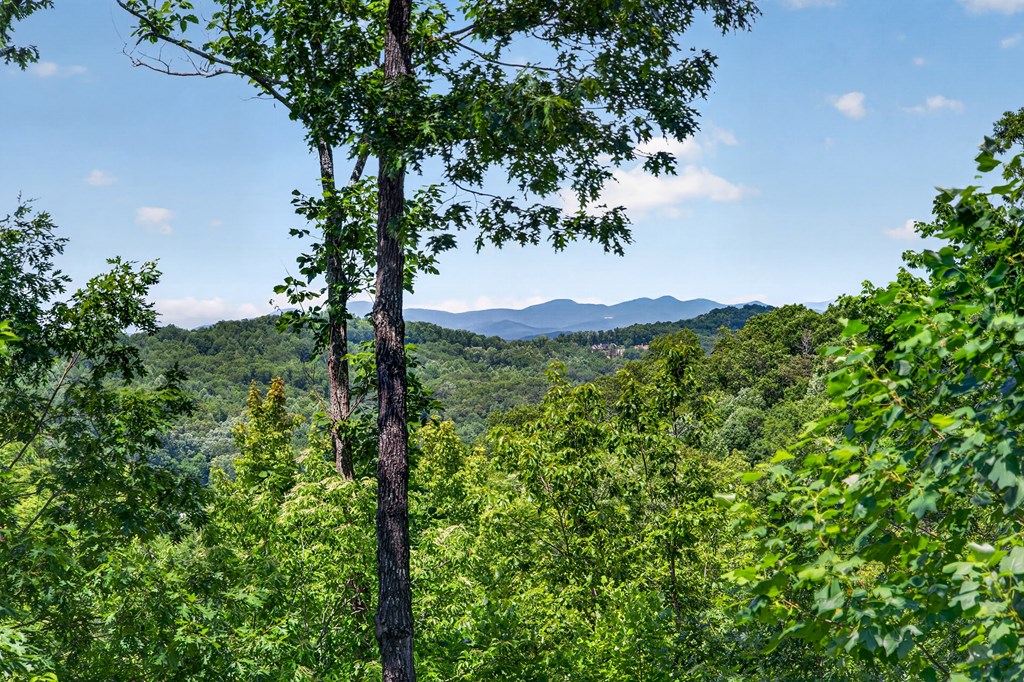 573 Weaver Creek Way Blue Ridge, GA 30513 - Photo 2 of 27