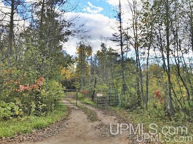T-wi Weckerle Road Pembine, WI 54156 - Photo 25 of 36