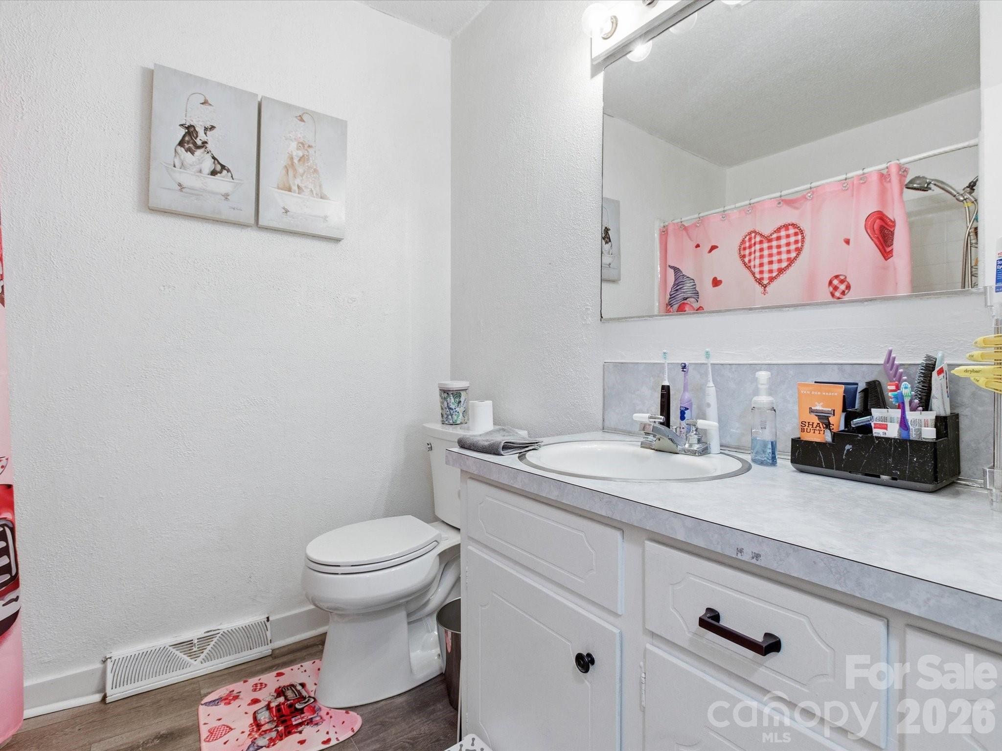 2694 Pineview Drive Lancaster, SC 29720 - Photo 20 of 26 a bathroom with a sink a toilet and a mirror