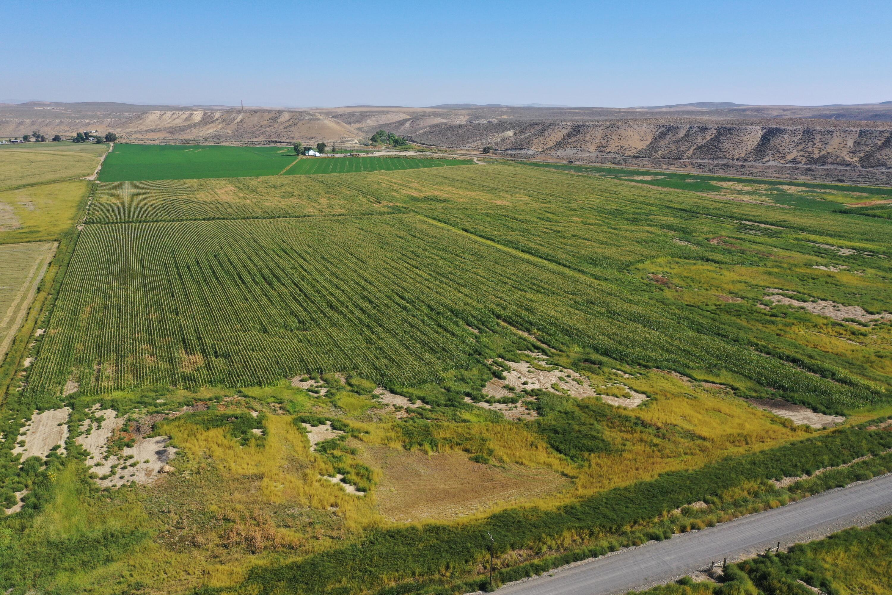 2337 Bully Creek Road Vale, OR 97918 - Photo 12 of 17 productive eastern oregon farm oregon bu