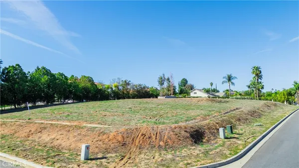 a view of a field with an ocean