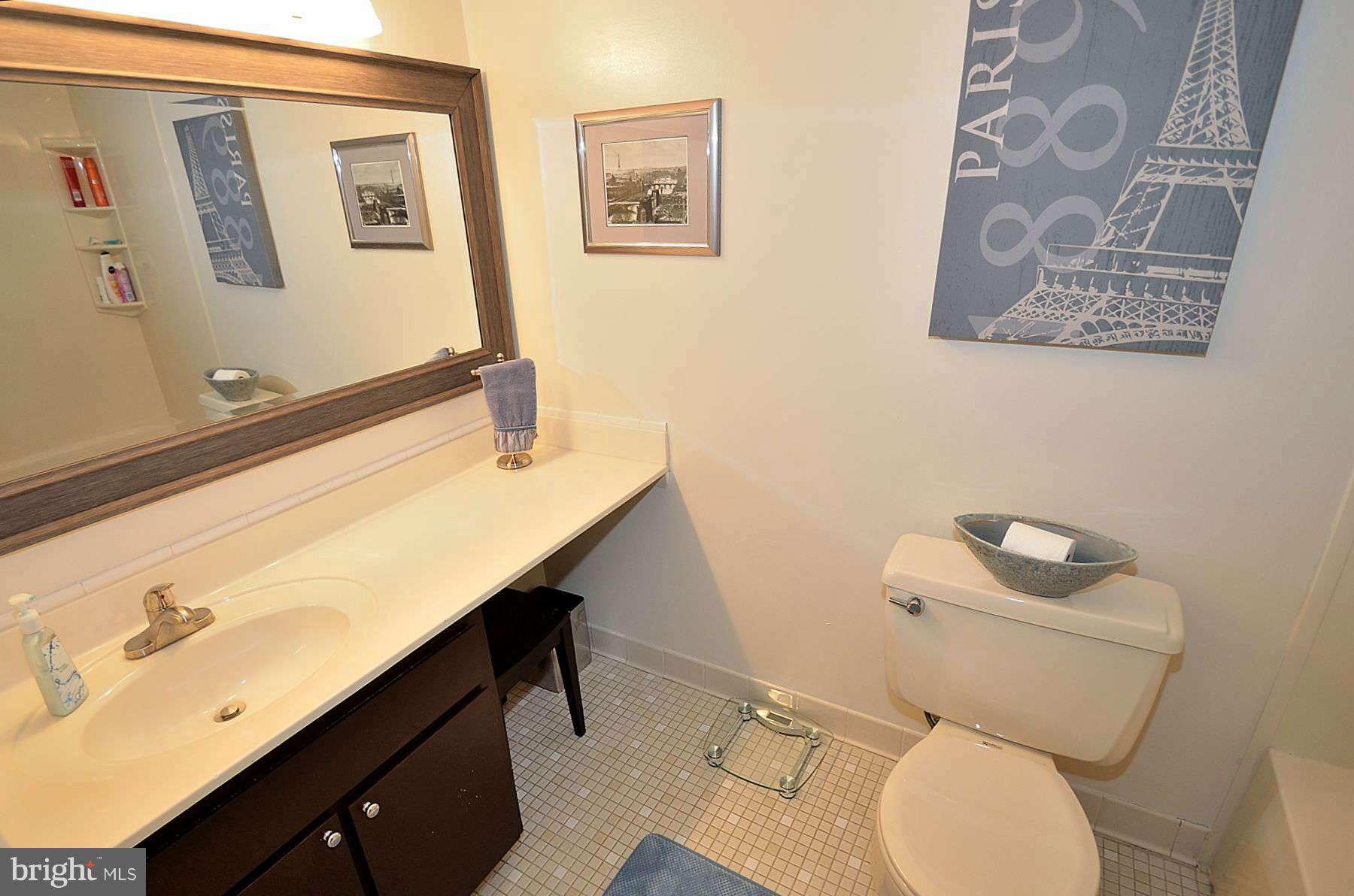2025 Wethersfield Court Reston, VA 20191 - Photo 13 of 24 Bath (Master)