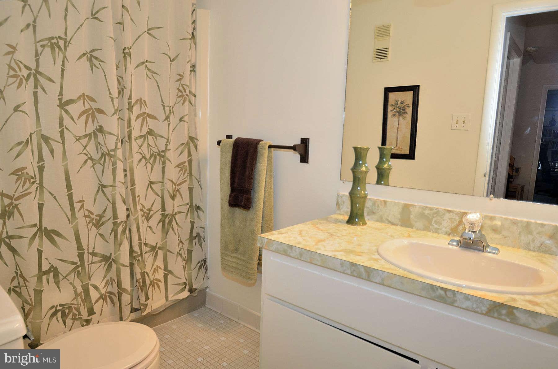 2025 Wethersfield Court Reston, VA 20191 - Photo 19 of 24 Bath