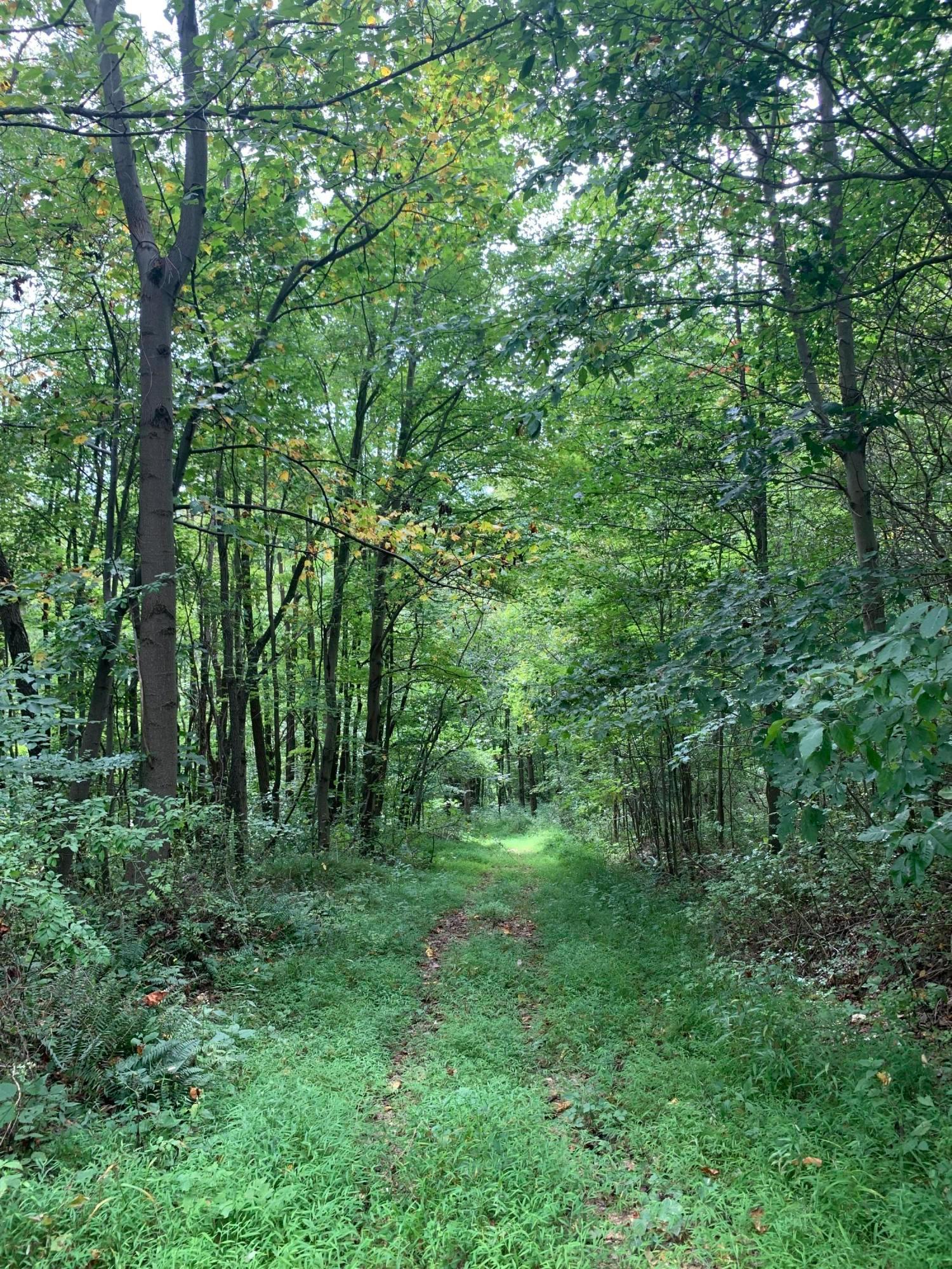 0 Cherry Run Road Northwest Strasburg, OH 44680 - Photo 24 of 35 20200831_184226137_iOS