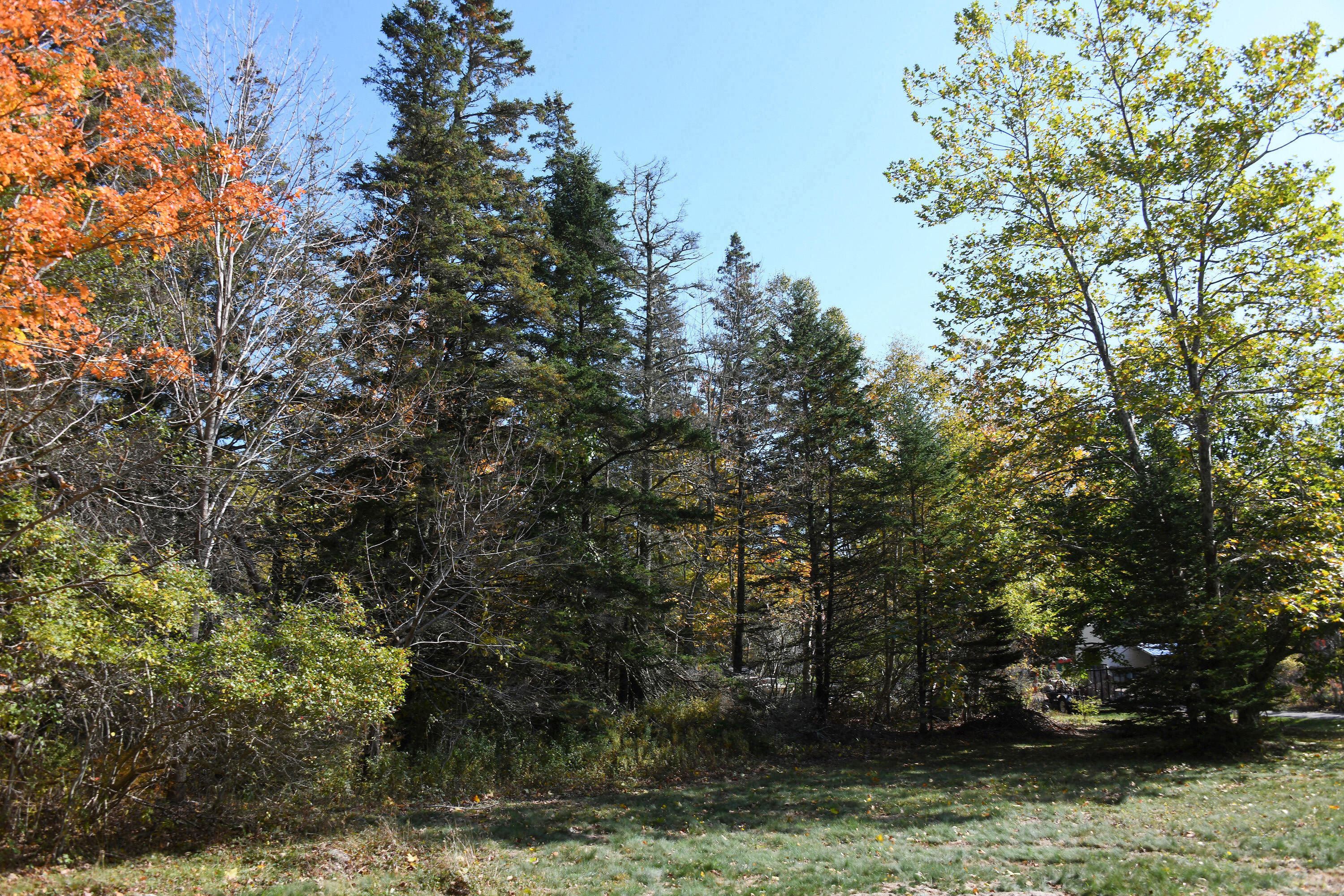 0 North Deer Isle Road Deer Isle, ME 04627 - Photo 15 of 22 000_NorthDeerIsleRoad_014
