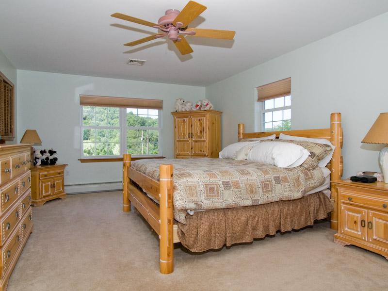 4610 Lower Cherry Valley Road Stroudsburg, PA 18360 - Photo 6 of 9 Master Bedroom