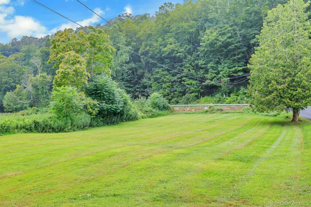 a view of a field with a trees in the background