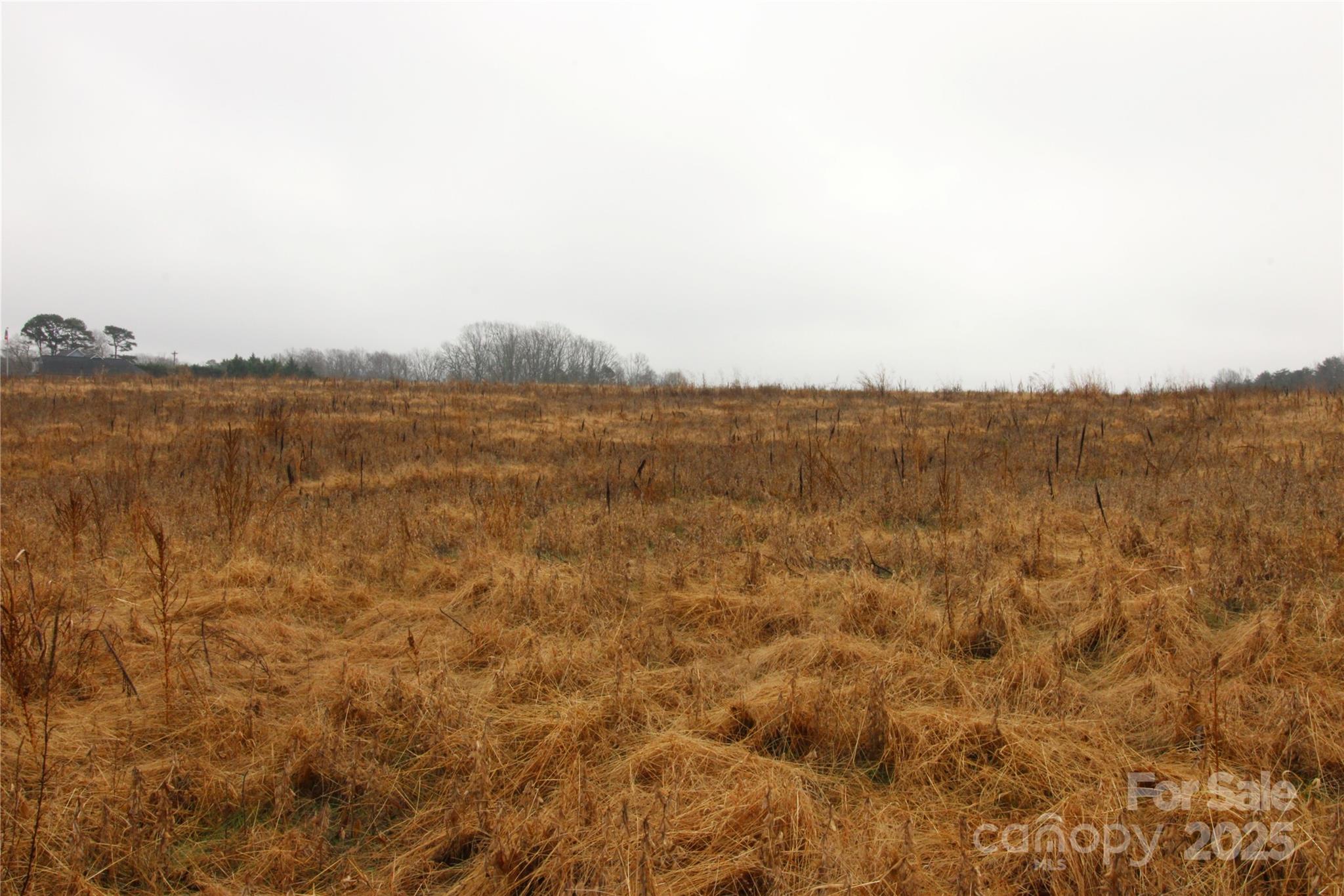 Lot B Lot B 3-ac Bess Road Kings Mountain, NC 28086 - Photo 2 of 3 a view of lake and mountain
