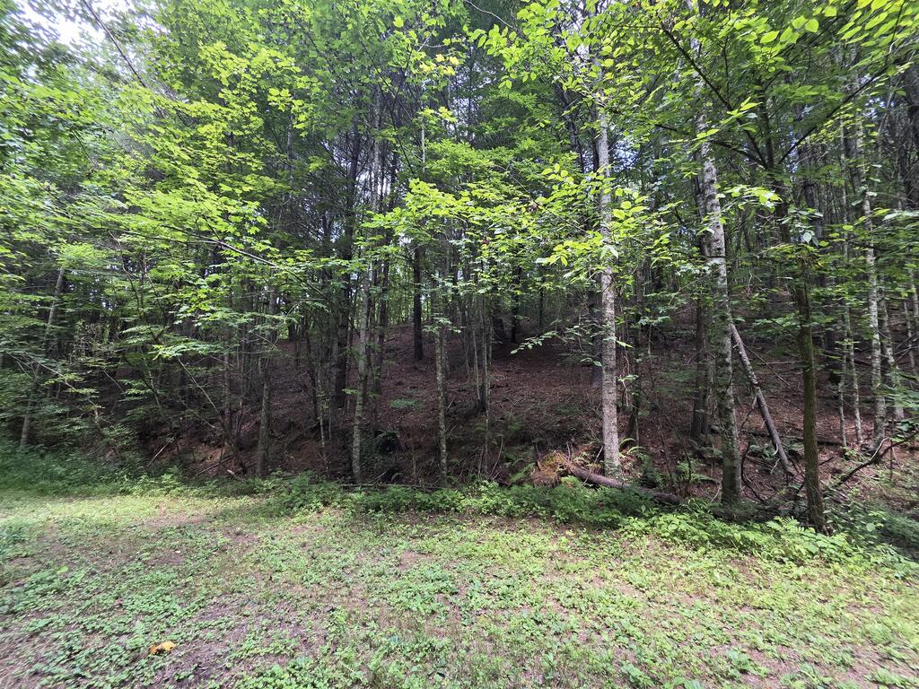 34.98 Hall Road Farner, TN 37333 - Photo 9 of 45 Gallery Image 9