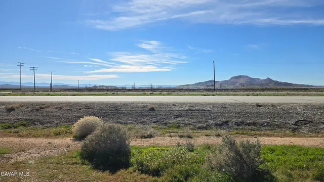 a view of a dry yard with wooden fence