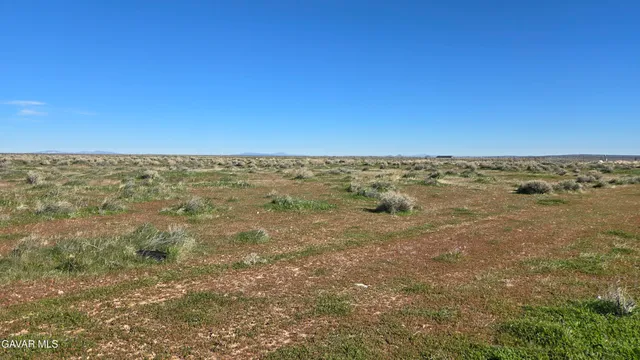 a view of an ocean and beach